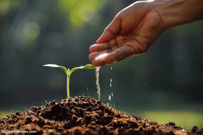 Agriculture — Duis Kenya Limited focus sector