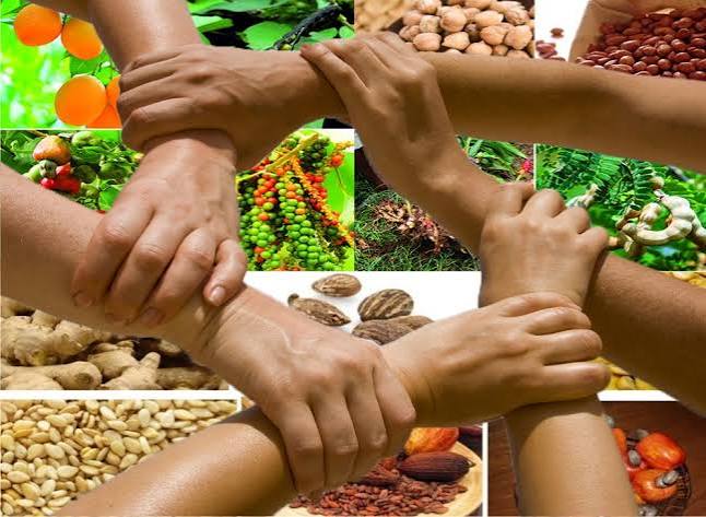 Cooperatives — Duis Kenya Limited focus sector